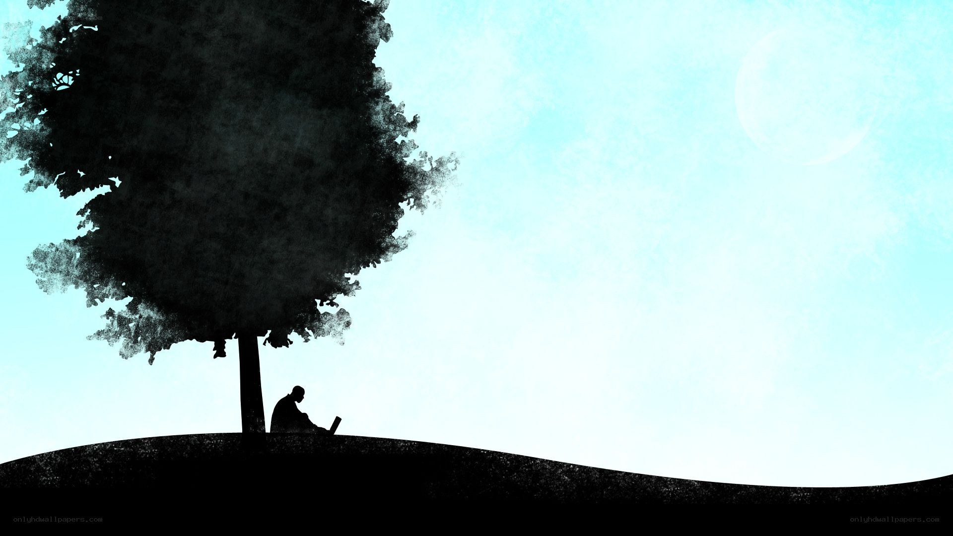 Person under a tree with laptop