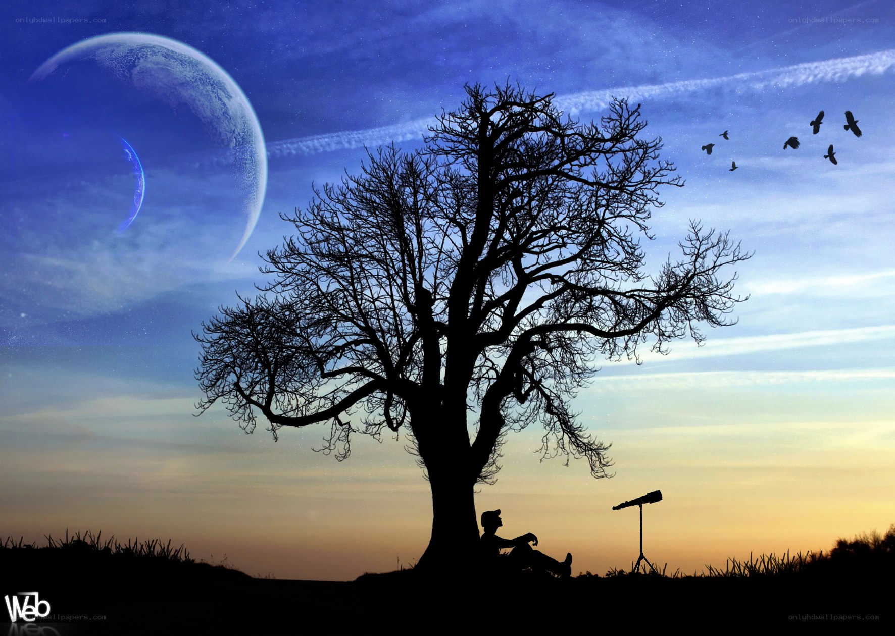 Person under a tree with telescope