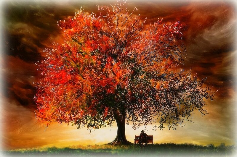 Person under Autumn Tree — Red