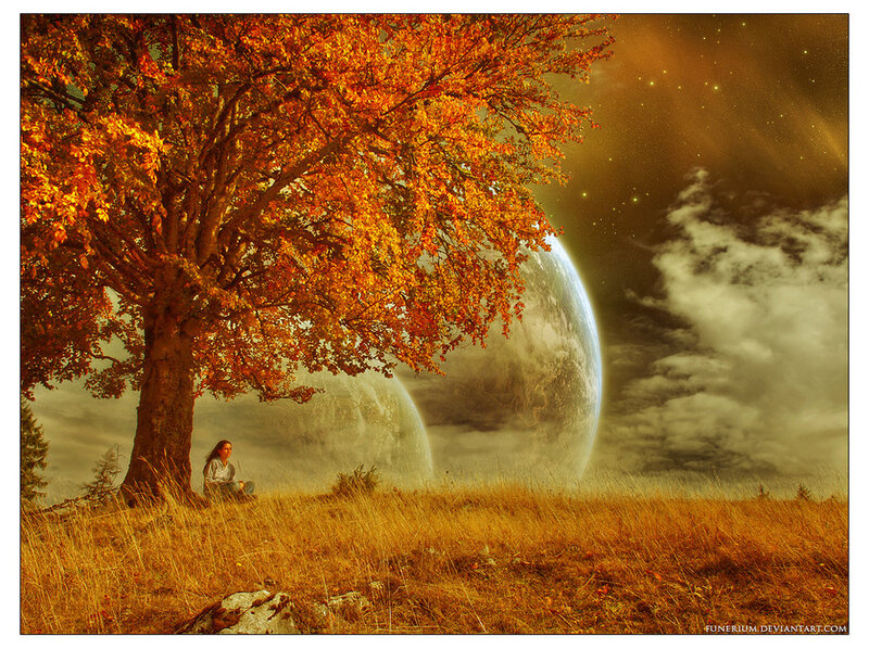 Person under Autumn Tree