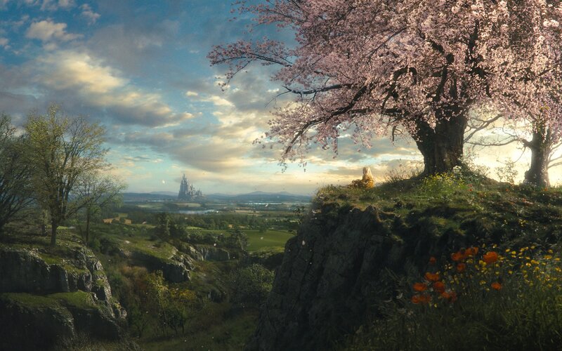 Person under Cherry Blossom — Pink, Serene