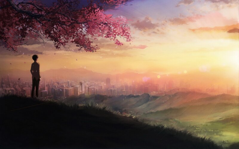 Person under Cherry Blossom — Pink