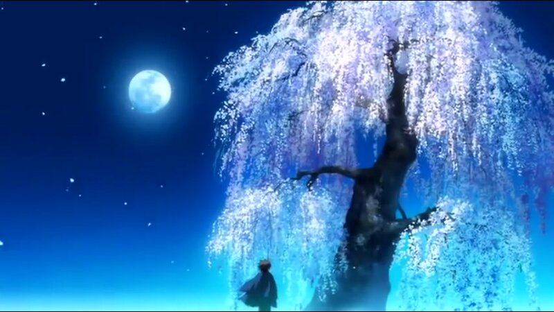 Person under Cherry Tree
