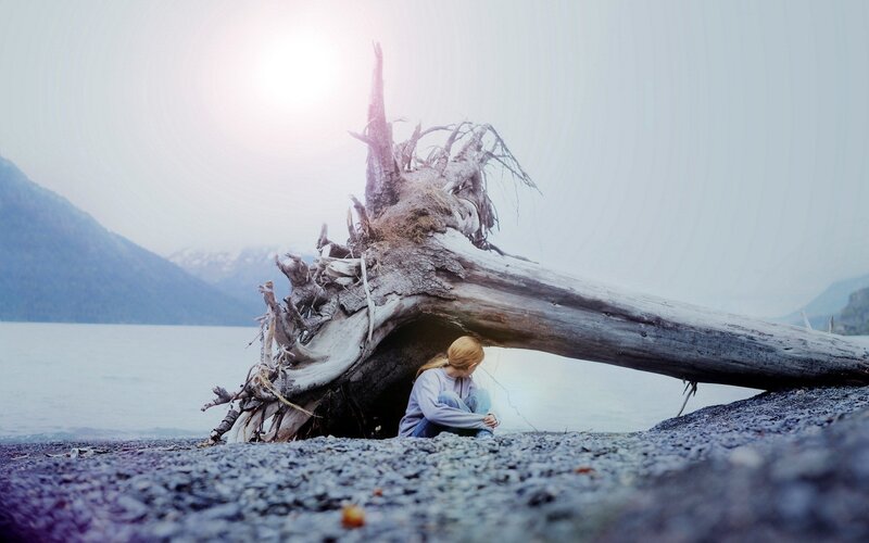 Person under Driftwood