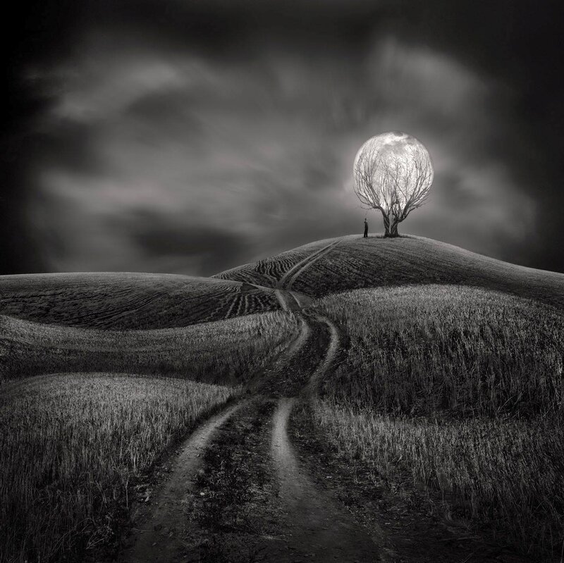 Person under Moonlit Tree