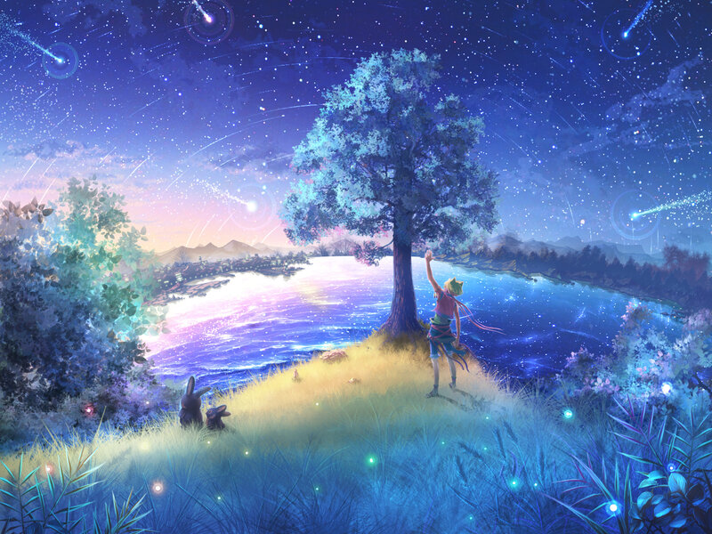 Person under Shooting Stars