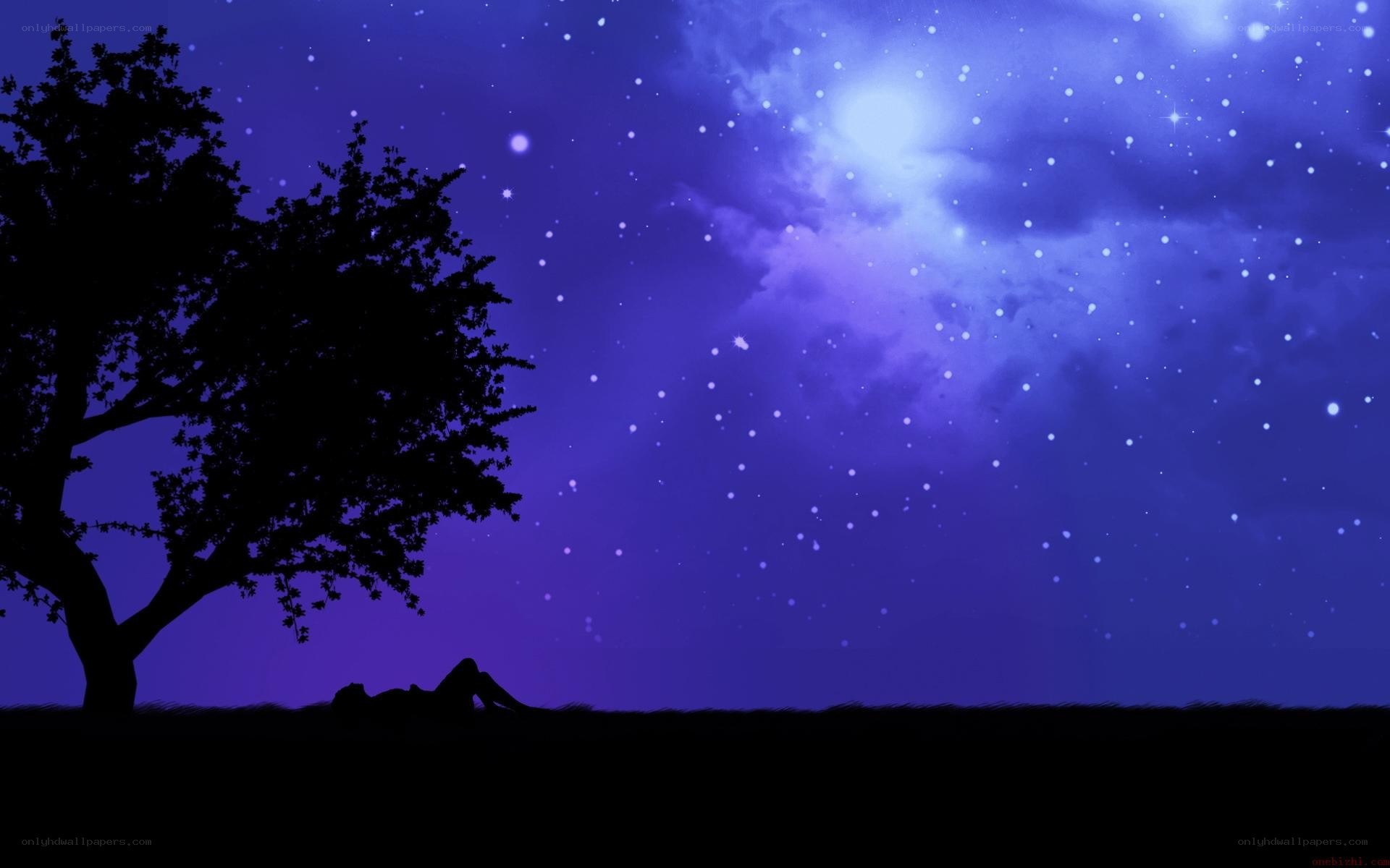 Person under starry night sky