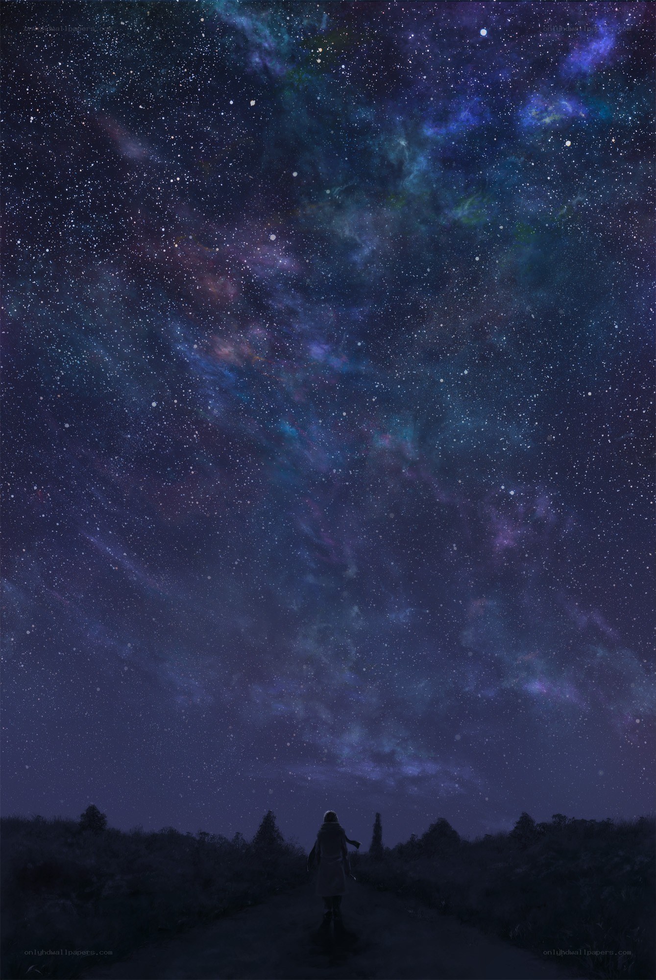 Person under starry night sky