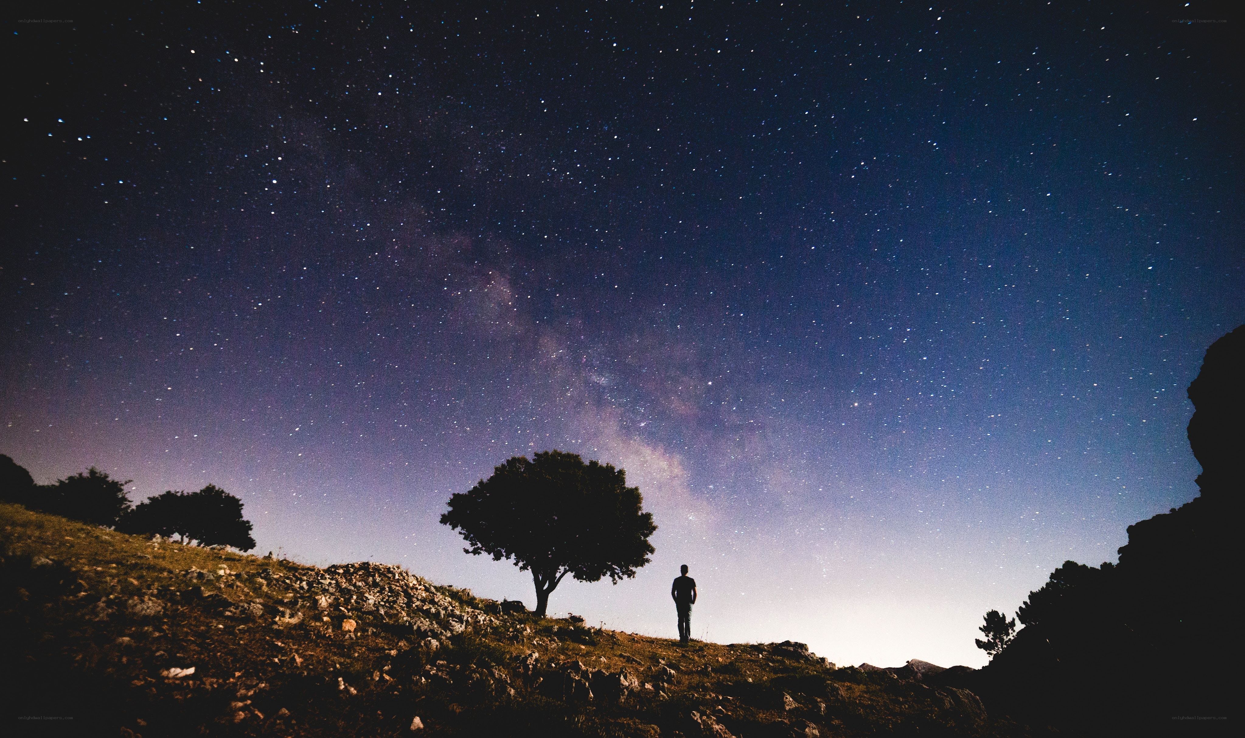Person under starry night sky