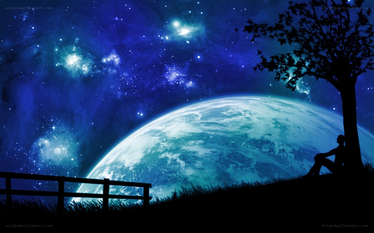 Person under starry sky