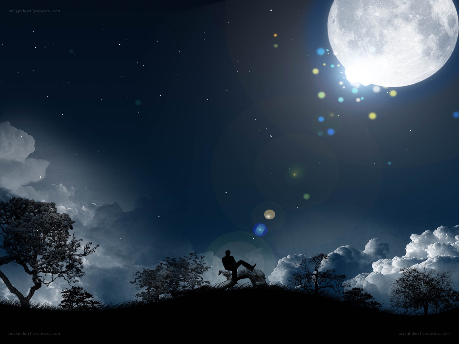 Person under the moonlit sky