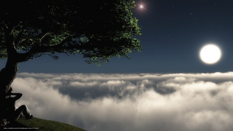 Person under tree above clouds