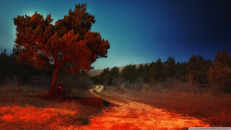 Person under Tree at Night — Red