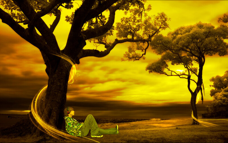 person under tree at sunset