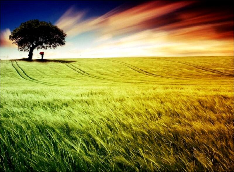 Person under Tree — Green