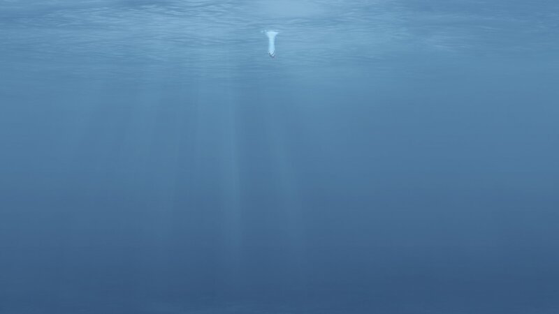 Person Underwater — Blue, Serene