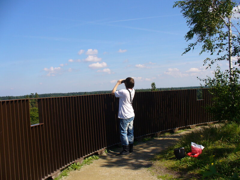 Person Using Binoculars