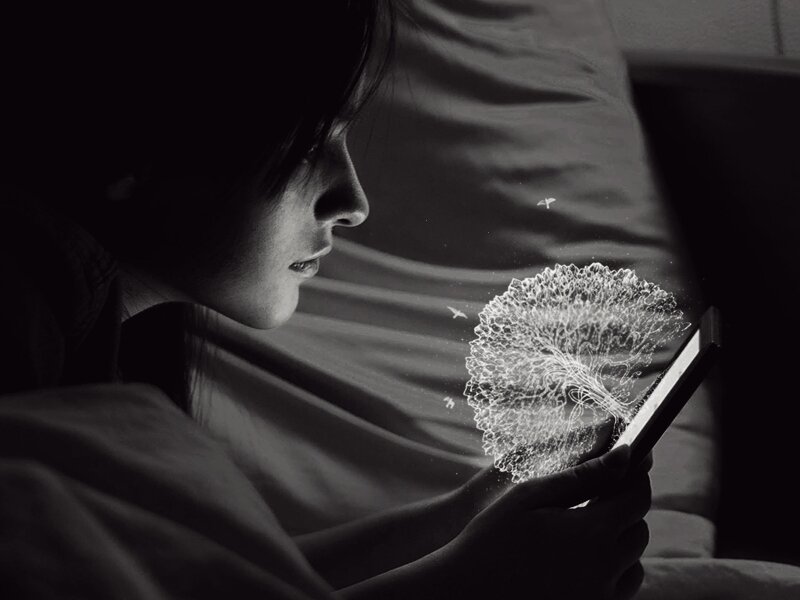 Person Using Tablet