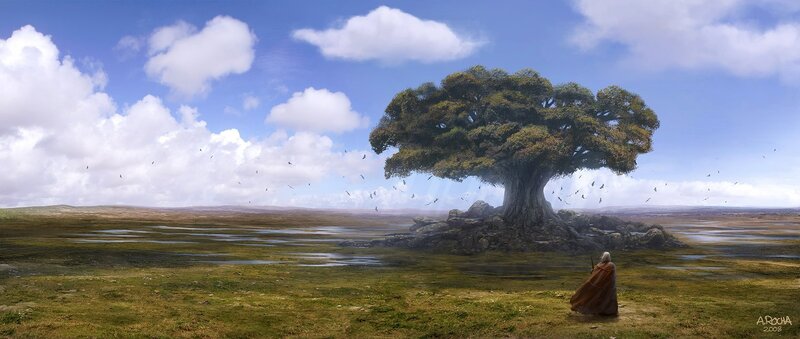 Person Viewing Large Tree — Blue, Serene