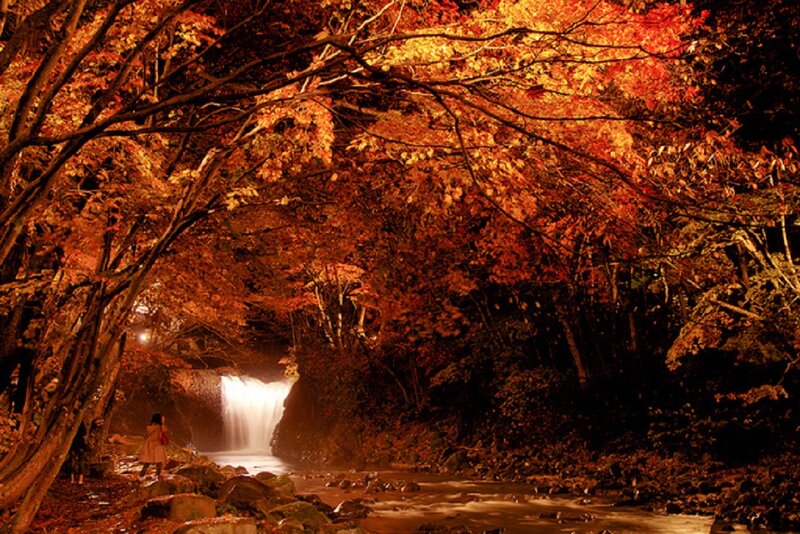 Person Viewing Waterfall