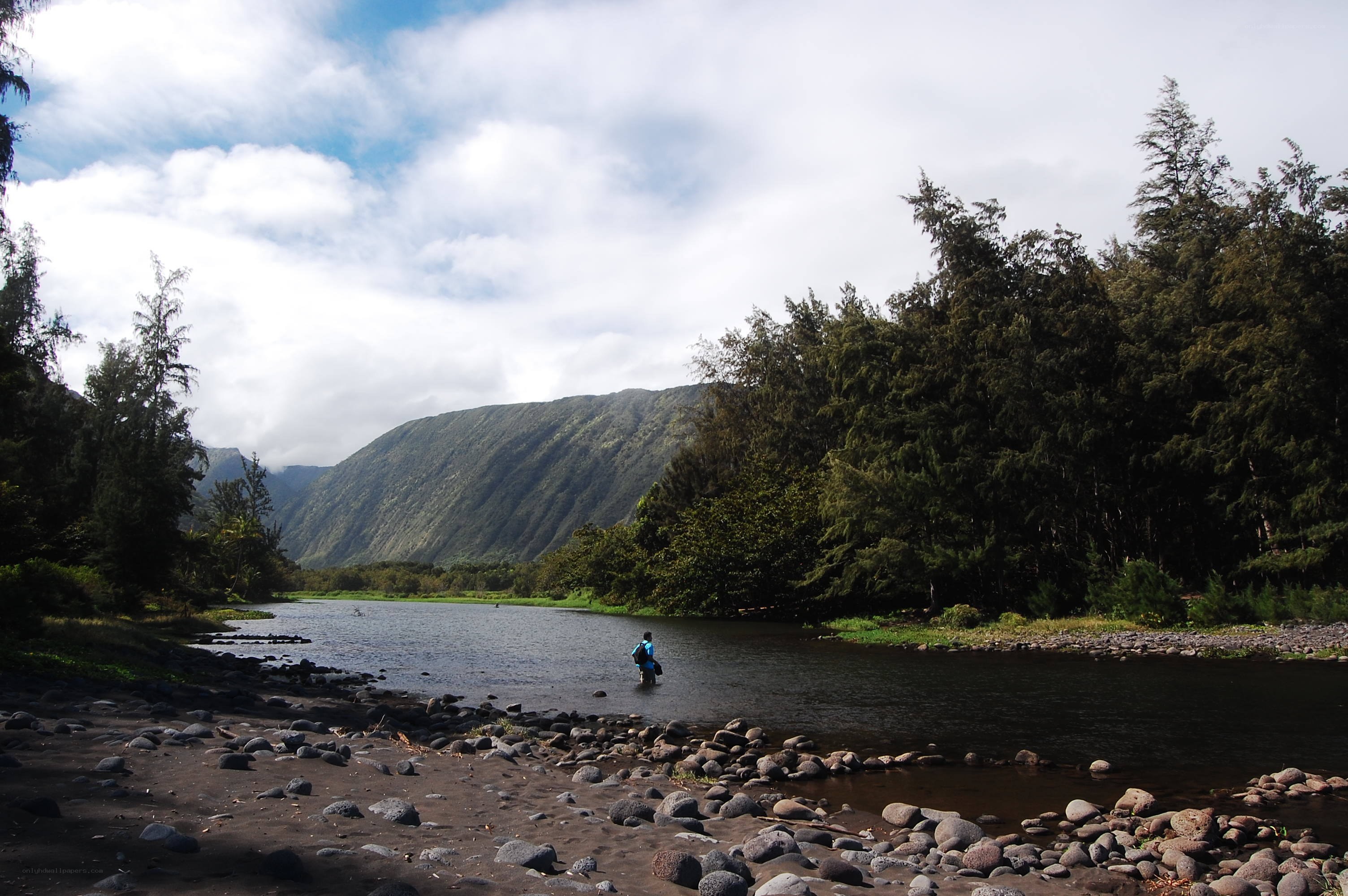 Person wading in a river