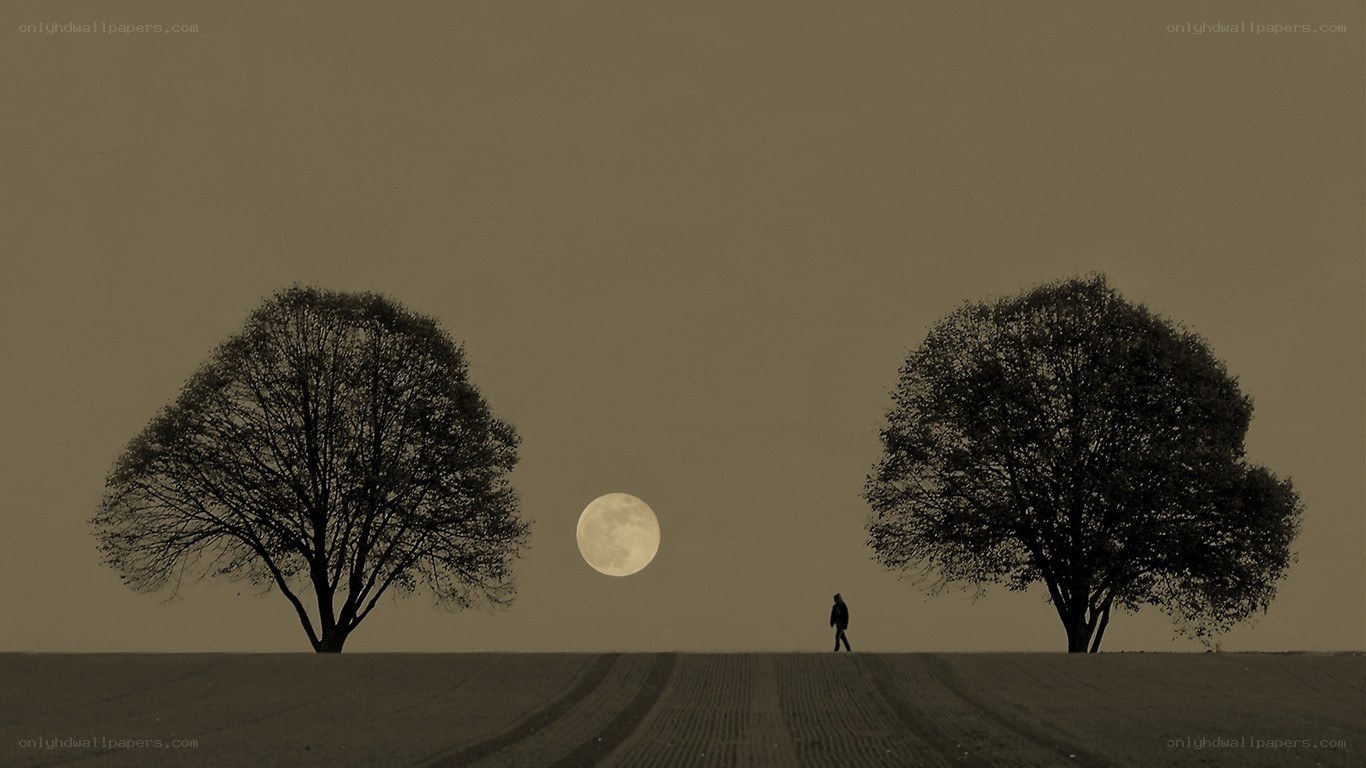 Person walking between two trees