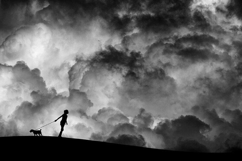 Person Walking Dog — Black, Dramatic