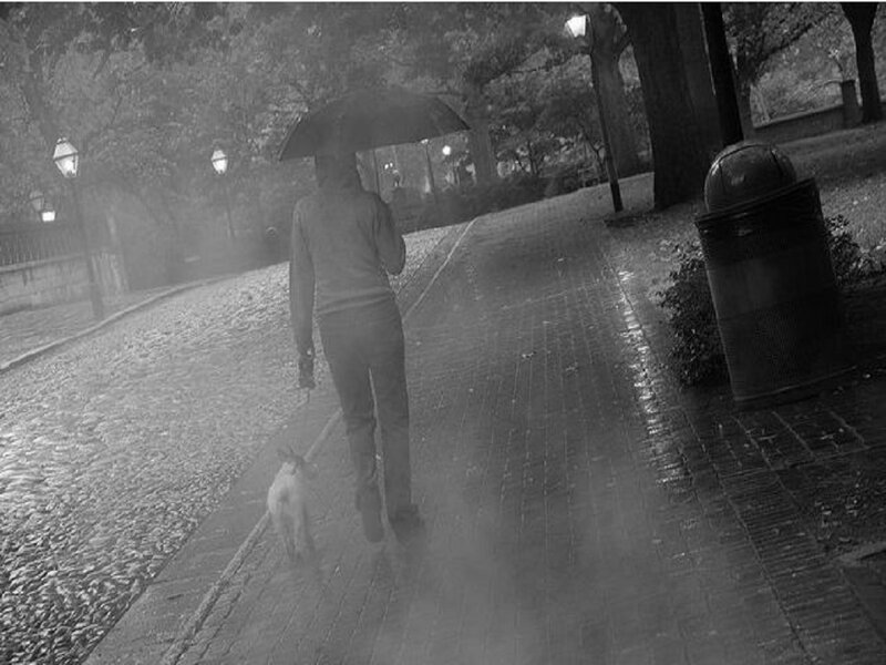 Person Walking Dog — Black, Dreary