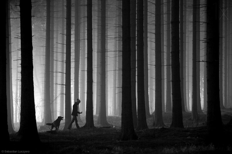Person Walking Dog — Black, Mysterious