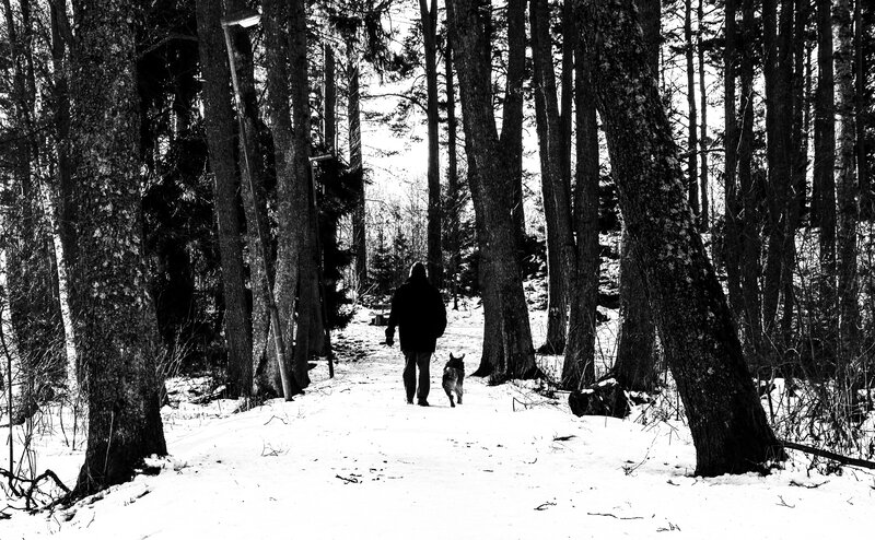Person Walking Dog — Black