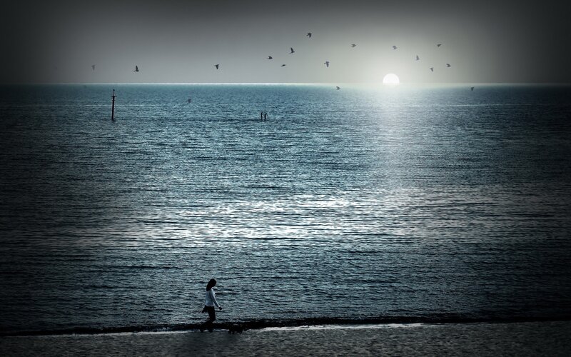 Person Walking Dog — Blue, Serene