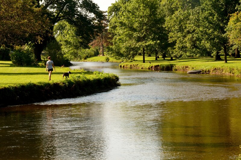 Person Walking Dog — Green, Serene, Afternoon