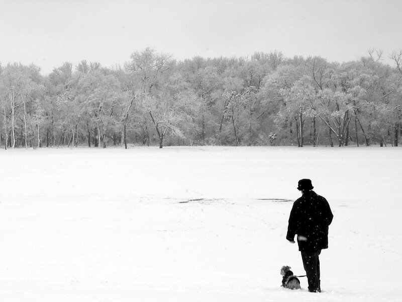 Person Walking Dog in Snow — Black, Serene