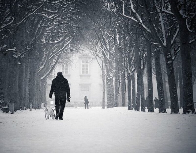 Person Walking Dog in Snow — Black