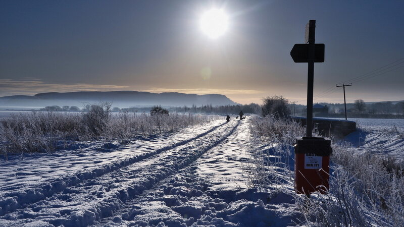 Person Walking Dog in Snow — White, Cold