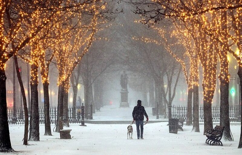 Person Walking Dog in Snow — White, Serene