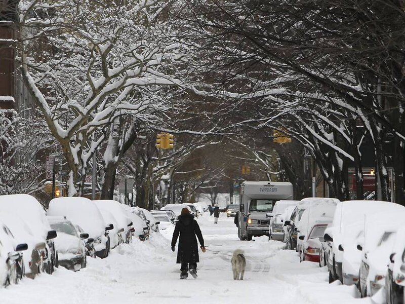 Person Walking Dog in Snow — White