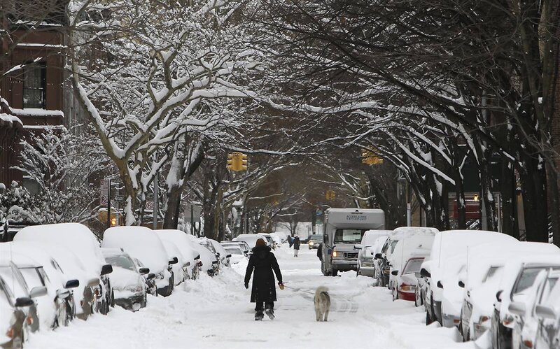 Person walking dog in snowy street