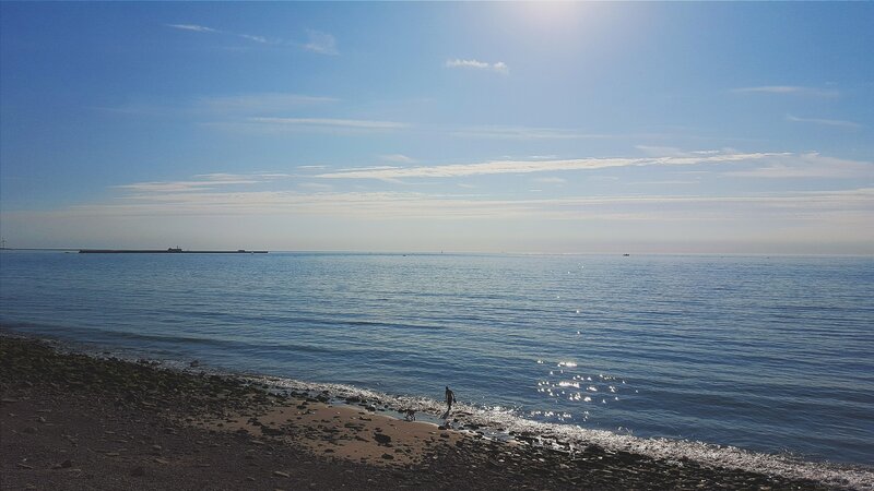 Person Walking Dog on Beach — Blue, Serene