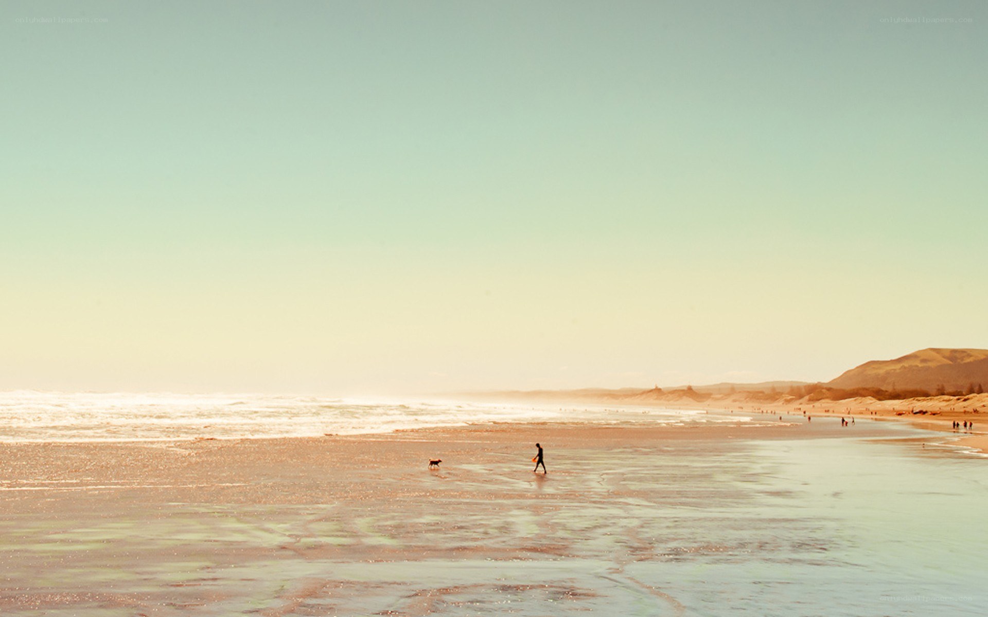 Person walking dog on beach