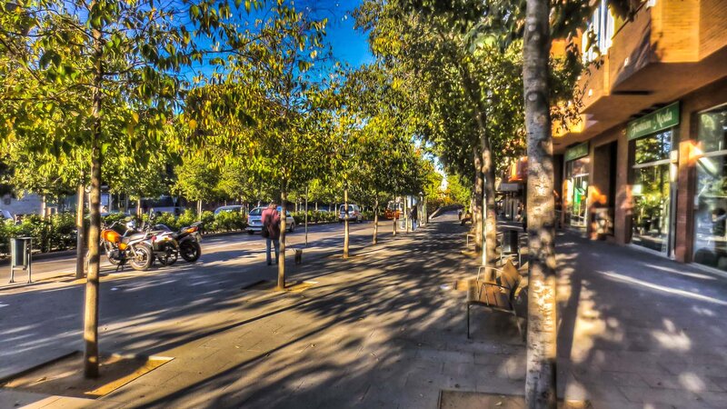 Person Walking Dog on Sidewalk