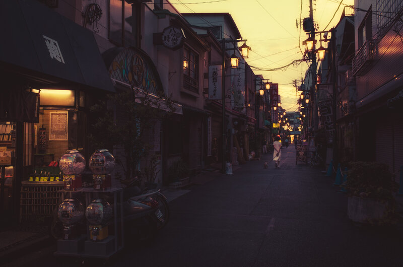 Person Walking Dog — Purple