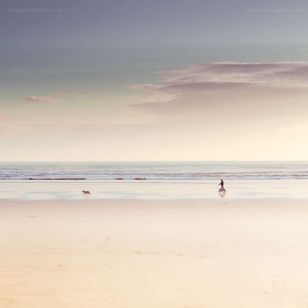 Person walking dogs on beach