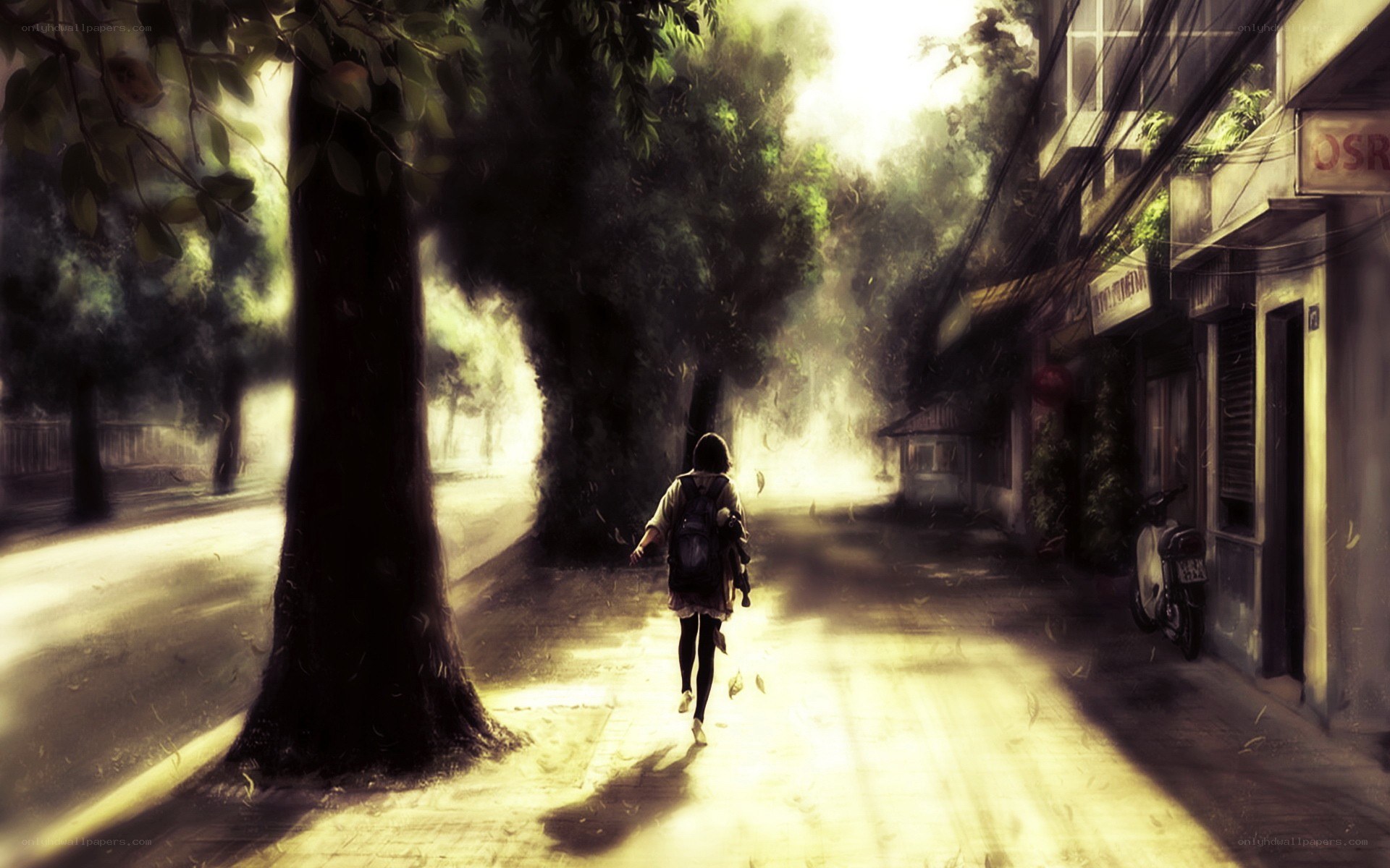 person walking down a sunlit street