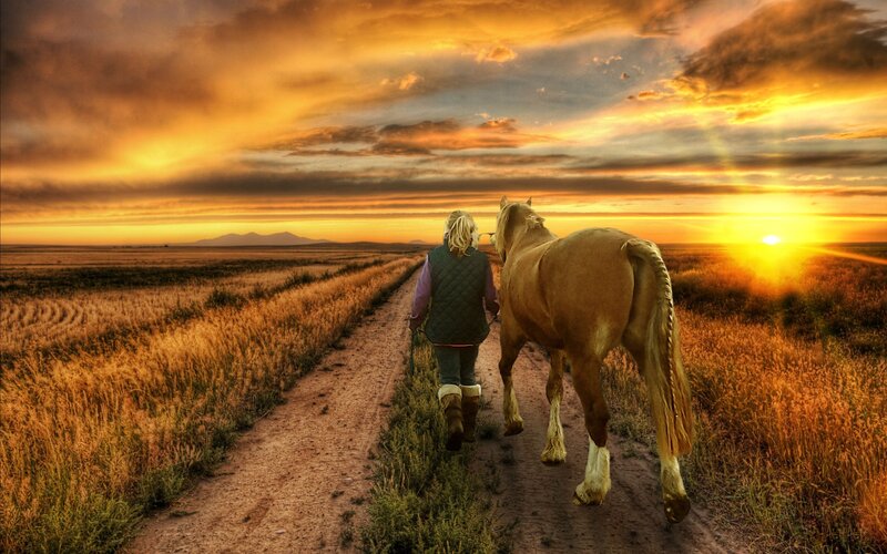 Person Walking Horse