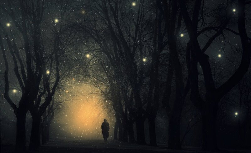 person walking in a forest at night