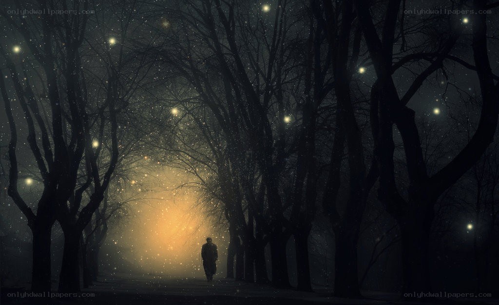 person walking in a forest at night