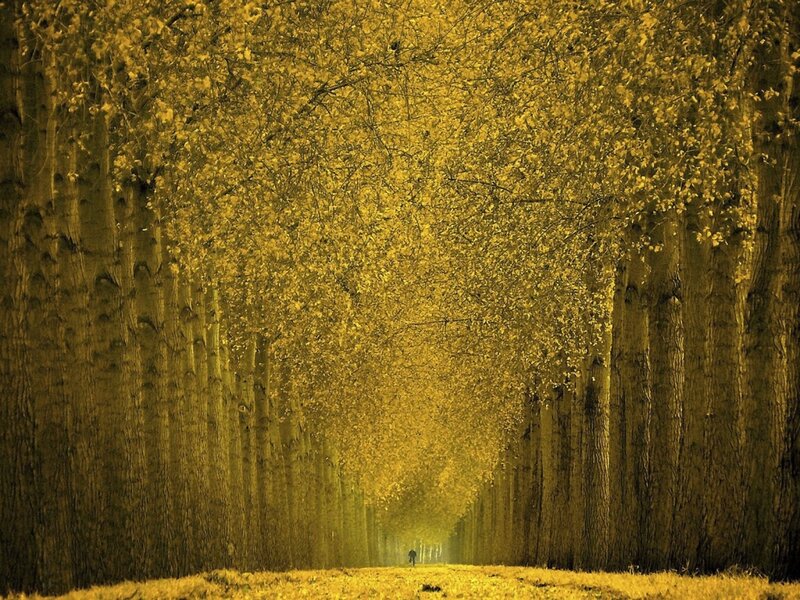 Person Walking in Alley
