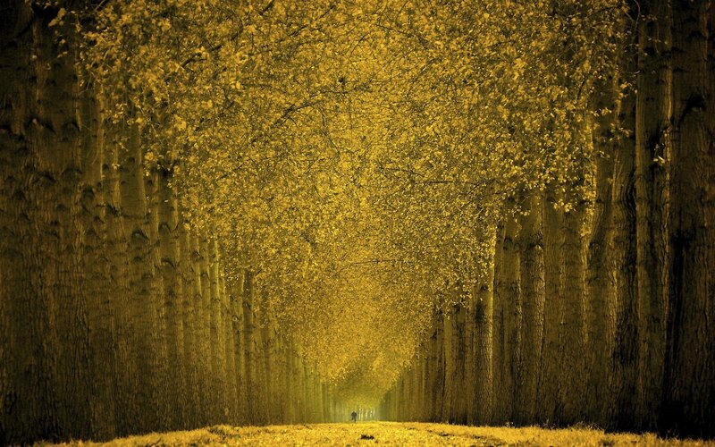 Person Walking in Alley — Yellow