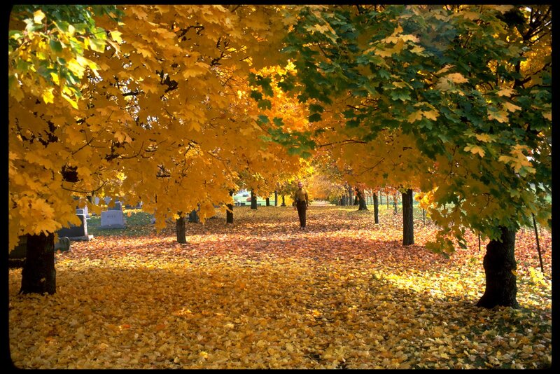 Person Walking in Cemetery — Yellow
